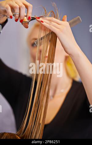 Se débarrasser de ces extrémités fractionnées. un coiffeur féminin coupant les cheveux d'un client. Banque D'Images