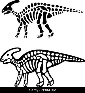 Les os et le crâne de Parasaurolophus. Squelette de Parasaurolophus. Silhouette d'animal préhistorique. Paléontologie et archéologie. OS de créature préhistorique Illustration de Vecteur