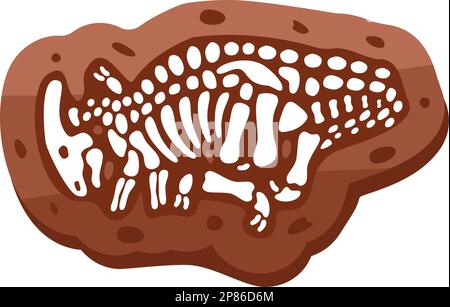 Squelette des fossiles de Parasaurolophus. Parasaurolophus os fossiles. Squelette de dinosaure. Os de dinosaure avec crâne. Paléontologie et archéologie. Illustration de Vecteur