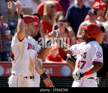 The Los Angeles Angels' Howie Kendrick, right, is congratulated by Mike Napoli, left foreground, and Kendrys Morales as all score on Kendrick's 3-RBI home run against the Tampa Bay rays in the seventh inning of a baseball game at Anaheim, Calif., Wednesday, Aug. 12, 2009. (AP Photo/Reed Saxon)
