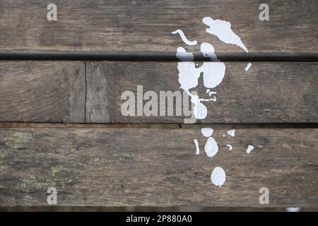 Empreinte blanche de peinture sur un banc en bois dans le parc, avec espace de copie. Banque D'Images