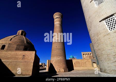 Kalan minaret n la vieille ville de Boukhara, Ouzbékistan. Banque D'Images