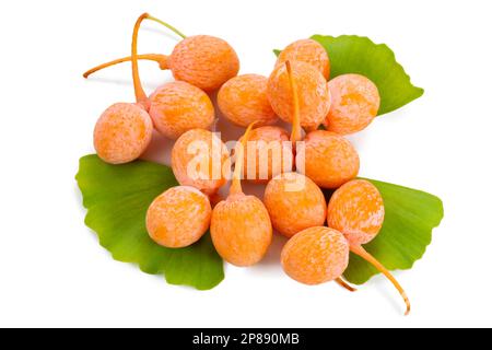 Les fruits jaunes mûrs et les feuilles vertes du Ginkgo biloba sont isolés sur fond blanc. Banque D'Images