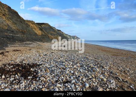 La plage et les falaises de Charmouth, Dorset, sur la côte jurassique, un site du patrimoine mondial riche en fossiles - John Gollop Banque D'Images