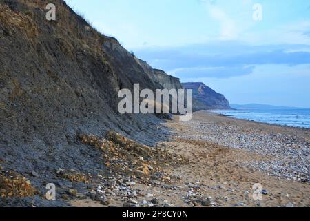 La plage et les falaises de Charmouth, Dorset, sur la côte jurassique, un site du patrimoine mondial riche en fossiles - John Gollop Banque D'Images