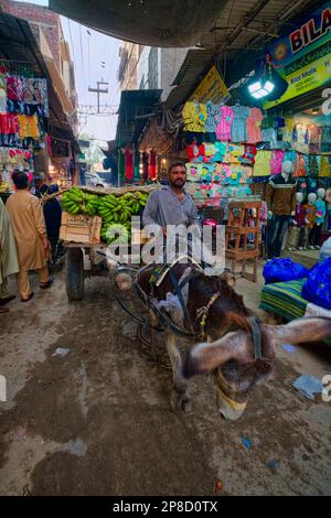 L'impact le plus important sur l'architecture de la ville fortifiée de Lahore est venu avec l'invasion des Mughals, avec l'arrivée des cinq grandes leade de Mughal Banque D'Images