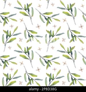 Motif de fleurs et de branches d'olive aquarelle sans couture en vert gris et beige sur fond blanc. Feuilles de grenade Banque D'Images