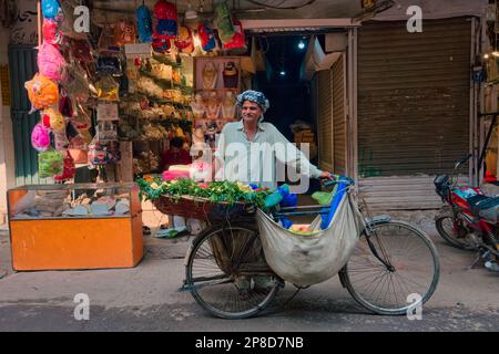 L'impact le plus important sur l'architecture de la ville fortifiée de Lahore est venu avec l'invasion des Mughals, avec l'arrivée des cinq grandes leade de Mughal Banque D'Images