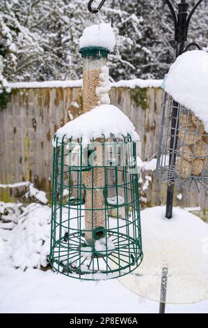 Tournesol cœurs mangeoire à oiseaux couverte de neige sur un poste de repas de jardin. Banque D'Images