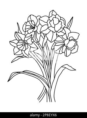 Daffodil Mars naissance mois fleur ligne art. Illustration de Vecteur