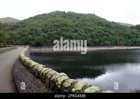 The Wooded Hill 'Great How' du barrage du réservoir de Thirlmere dans le parc national de Lake District, Cumbria, Angleterre, Royaume-Uni. Banque D'Images