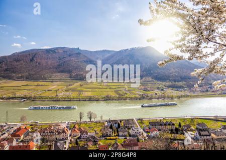 Village de Spitz avec des navires sur le Danube dans la vallée de Wachau (UNESCO) au printemps, Autriche Banque D'Images