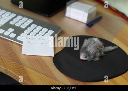 La souris d'ordinateur a été remplacée par une souris en peluche. La blague d'avril Fool Banque D'Images