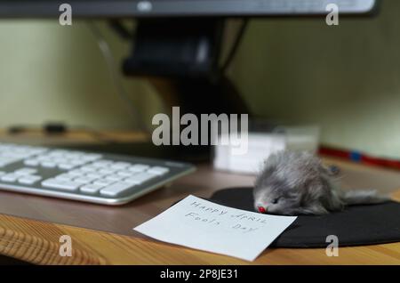 La souris d'ordinateur a été remplacée par une souris en peluche. La blague d'avril Fool Banque D'Images