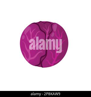 Chou rouge frais dans le style de dessin animé élément isolé. Imprimé aliments sains Illustration de Vecteur