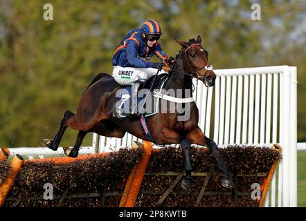 Photo du dossier datée du 09-11-2021 de Theatre Glory. La liste des propriétaires qui emploieront les services de Nicky Henderson pendant le Cheltenham Festival est un appel de la riche et puissante élite de course. Date de publication : jeudi 9 mars 2023. Banque D'Images