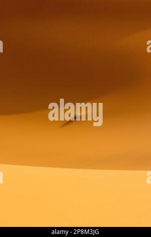 Photo abstraite du désert du Sahara au lever du soleil. Banque D'Images
