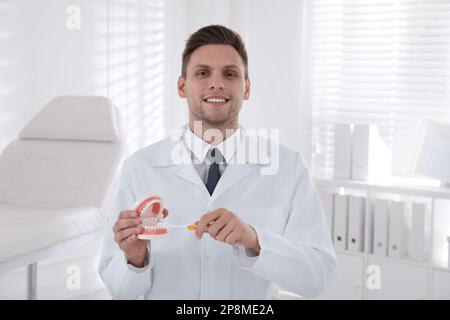 Dentiste avec modèle de mâchoires et brosse à dents en clinique. Démonstration de soins buccaux Banque D'Images