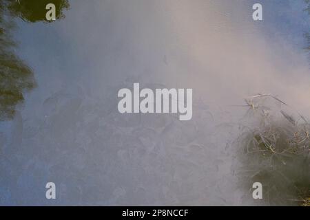 Photographie de drone de rivière coulant et de glace sur le dessus pendant la journée d'hiver nuageux Banque D'Images