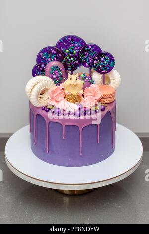 Gâteau d'anniversaire avec souris au chocolat sur le dessus. Décoration avec sucettes, meringues et bonbons. Banque D'Images