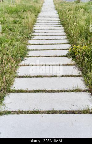 Chemin des carreaux de béton passant par l'herbe verte Banque D'Images