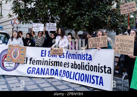 Les gens manifestent dans les rues de Grenade, le jour international de la femme Banque D'Images