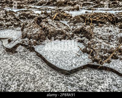 glace sur le sol en hiver Banque D'Images
