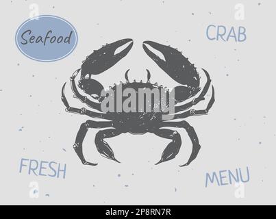 Dessin isolé de crabe. Illustration du vecteur animal marin. Fruits de mer. Illustration vectorielle Illustration de Vecteur