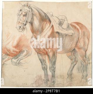 Saddled Horse, c. 1615-1618 entre 1615 et 1618 par Peter Paul Rubens Banque D'Images