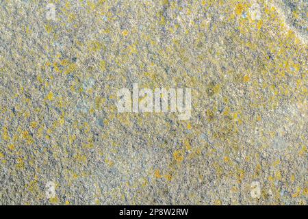 Le mur de couleur beige avec le fond de texture de stuc fissuré. Banque D'Images