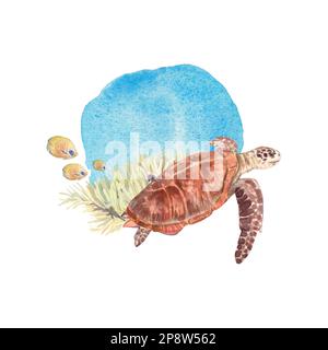 Tortue de mer sur fond de coraux d'anémone avec des poissons jaunes mis en évidence sur fond blanc. Illustration aquarelle d'animaux marins et de plantes Banque D'Images