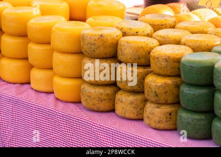 Différents types de fromages ronds présentés sur une table. Banque D'Images