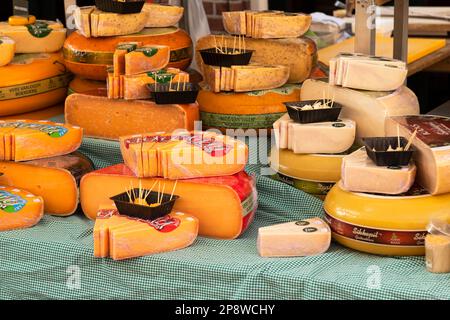 Différents types de fromage sont présentés sur une table au marché du fromage dans la ville hollandaise d'Alkmaar. Banque D'Images
