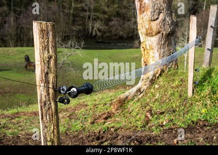 Pour les animaux, câbler la clôture sous l'électricité. Élevage, élevage de bétail dans les zones rurales. Protection contre les animaux contre les échappés. Banque D'Images