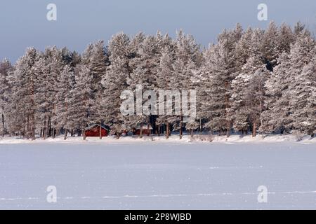 De petits bâtiments rouges sont cachés sur le rivage. Des arbres enneigés tout autour. Jour d'hiver ensoleillé, lac de ce côté. Banque D'Images