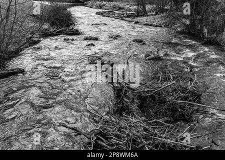 Petite rivière à travers la campagne solitaire et froide (b/W) Banque D'Images