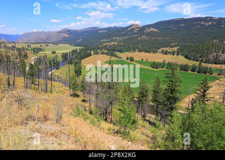 Valley by Rock Creek en Colombie-Britannique. Banque D'Images