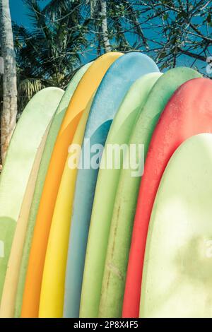 Ensemble de planches de surf de différentes couleurs sur la plage de sable côte au Sri Lanka. Format vertical. Banque D'Images