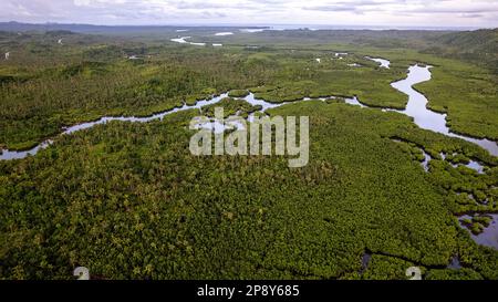 La photo capture la beauté à couper le souffle d'une jungle tropicale ou d'une chaîne de montagnes. Le feuillage vert luxuriant domine le premier plan. Banque D'Images