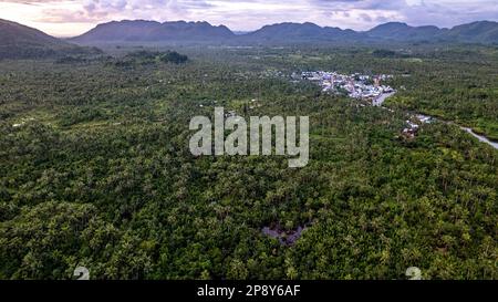 La photo capture la beauté à couper le souffle d'une jungle tropicale ou d'une chaîne de montagnes. Le feuillage vert luxuriant domine le premier plan. Banque D'Images