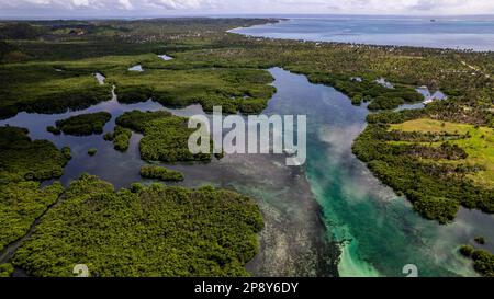 La photo capture la beauté à couper le souffle d'une jungle tropicale ou d'une chaîne de montagnes. Le feuillage vert luxuriant domine le premier plan. Banque D'Images