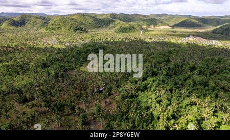 La photo capture la beauté à couper le souffle d'une jungle tropicale ou d'une chaîne de montagnes. Le feuillage vert luxuriant domine le premier plan. Banque D'Images