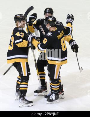Pittsburgh, États-Unis. 09th mars 2023. L'aile gauche des Penguins de Pittsburgh Danton Heinen (43) et le défenseur des Penguins de Pittsburgh Jeff Petry (26) célèbrent le but du défenseur des Penguins de Pittsburgh Brian Dumoulin (8) contre les habitants des îles de New York pendant la deuxième période à la PEG Paints Arena de Pittsburgh jeudi, 9 mars 2023. Photo par Archie Carpenter/UPI crédit: UPI/Alay Live News Banque D'Images