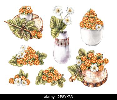 Ensemble de compositions d'aquarelles avec des myrtilles. Une poignée, un vase, un panier, un bouquet de baies sur fond blanc isolé pour le conditionnement, ta Banque D'Images