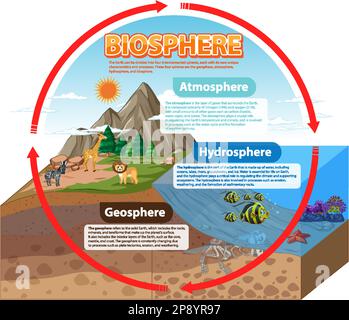 Infographie sur l'écologie de la biosphère pour l'illustration de l'apprentissage Illustration de Vecteur