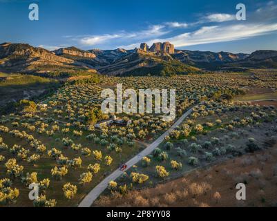 Vue aérienne d'un coucher de soleil entre les champs et les oliveraies au printemps, avec le parc naturel d'Els ports et les rochers de Roques de Benet en arrière-plan (Espagne) Banque D'Images