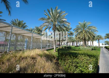 Palmiers, drapeau et passerelle à grille blanche, chemin qui couvre le parc de stationnement jusqu'au musée. Au musée d'art du Louvre à Abu Dhabi, Émirats Arabes Unis, unité Banque D'Images
