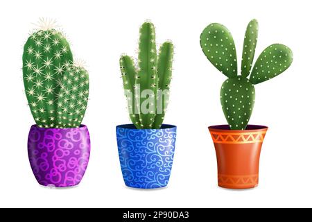 Cactus houseplant en pots, illustration vectorielle isolée Illustration de Vecteur