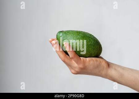 Avocat vert mûr frais à la main sur fond gris clair. Aliments crus biologiques pour une alimentation végétalienne saine Banque D'Images