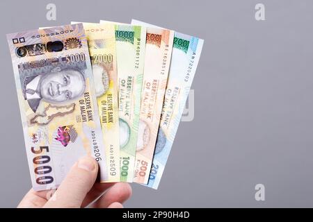 Malawian Money - kwacha sur fond gris Banque D'Images